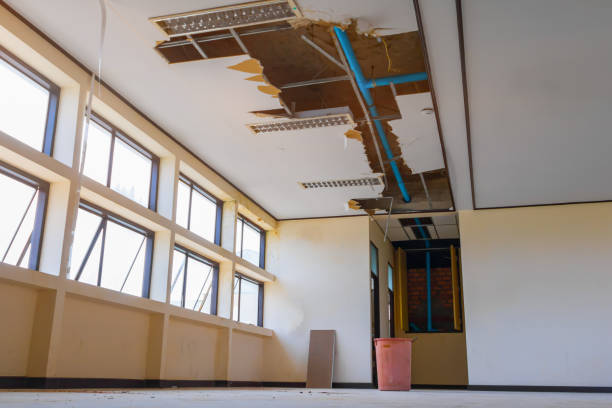 Best Local water damage restoration  in Honolulu, HI