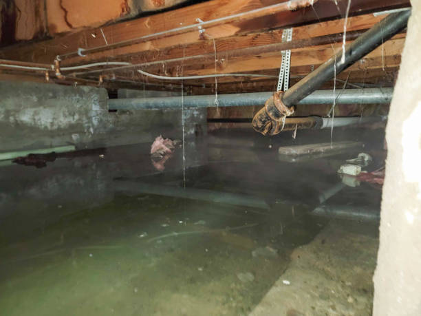 Best Sewage cleanup and water damage restoration  in Honolulu, HI