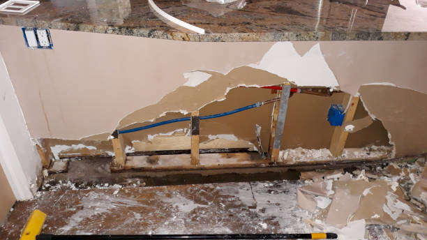 Best Flooded house restoration  in Honolulu, HI