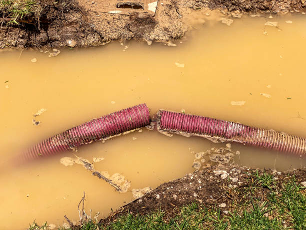 Best Water damage cleanup near me  in Honolulu, HI